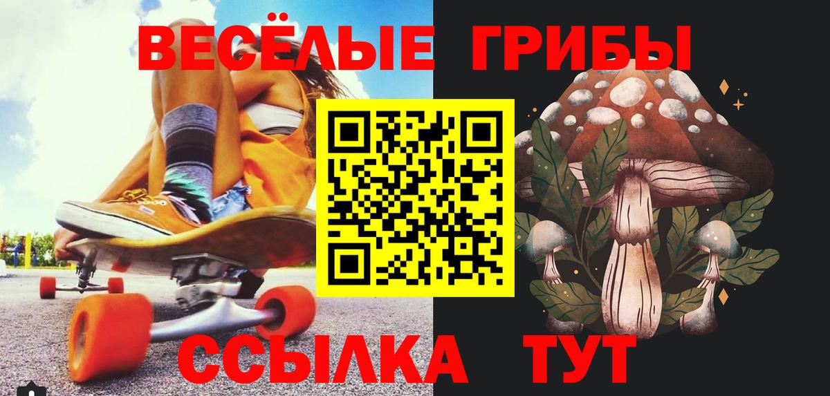 Галлюциногенные грибы GOLDEN TEACHER Полевской