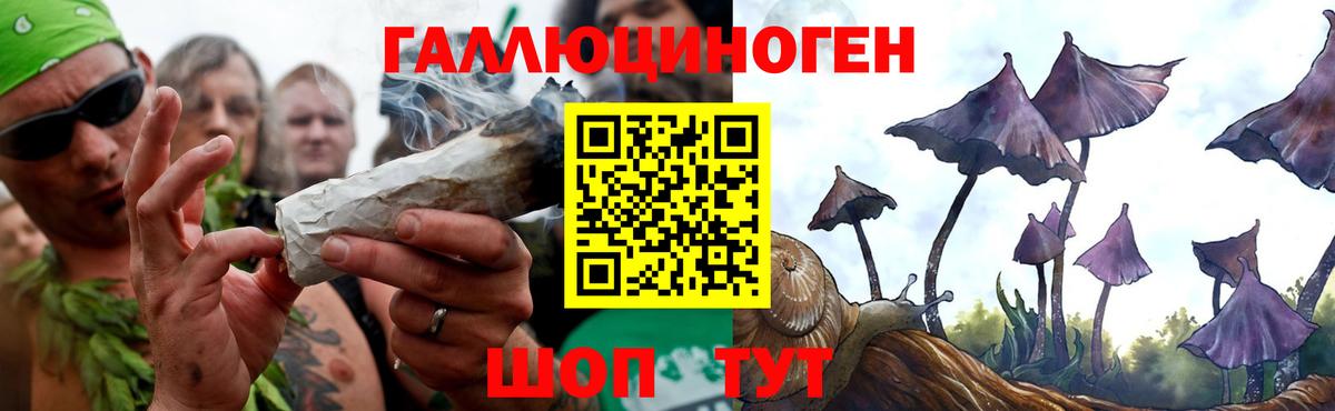 Псилоцибиновые грибы Psilocybine cubensis  Вход с VPN  Полевской 